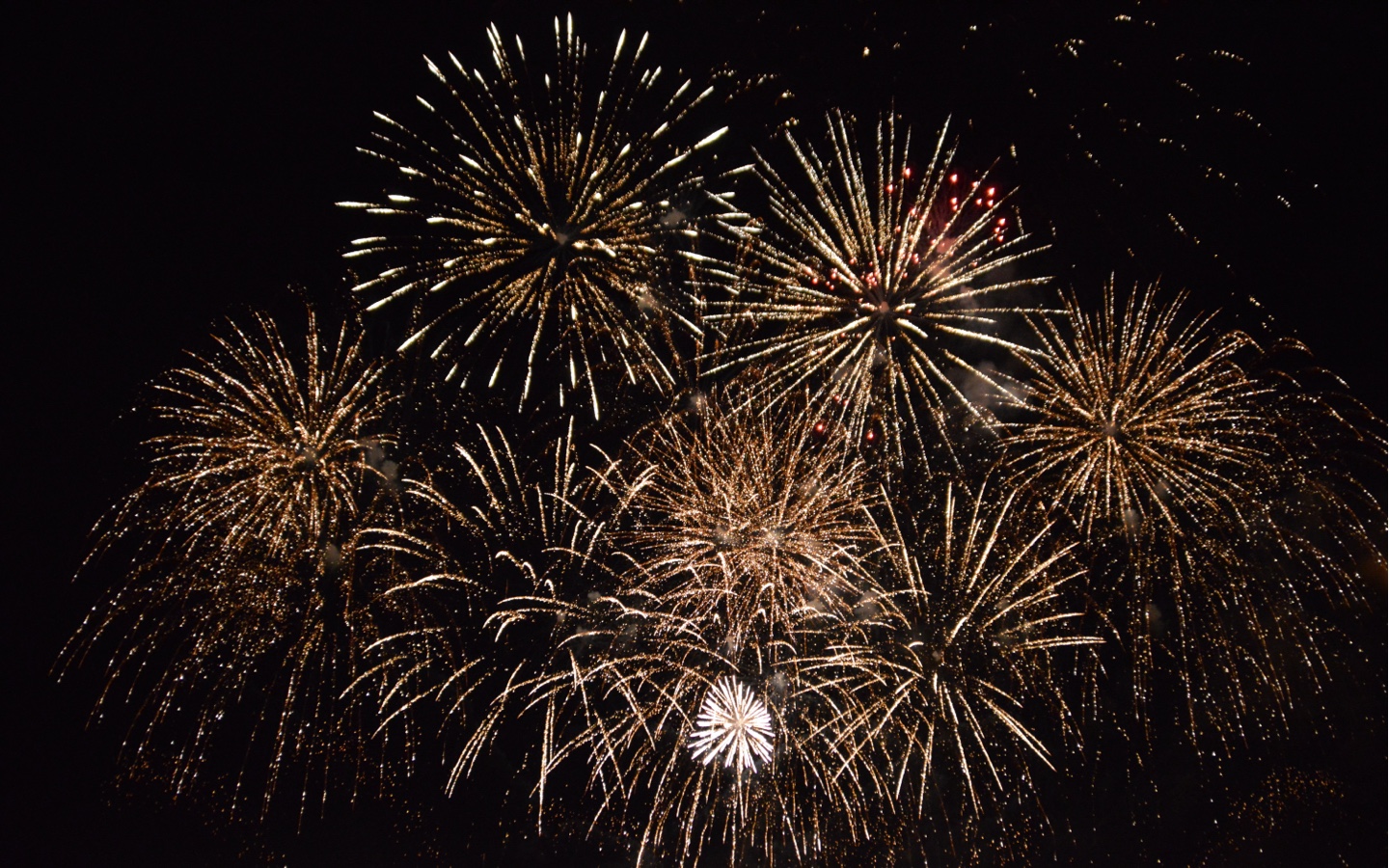 Fourth of July Fireworks