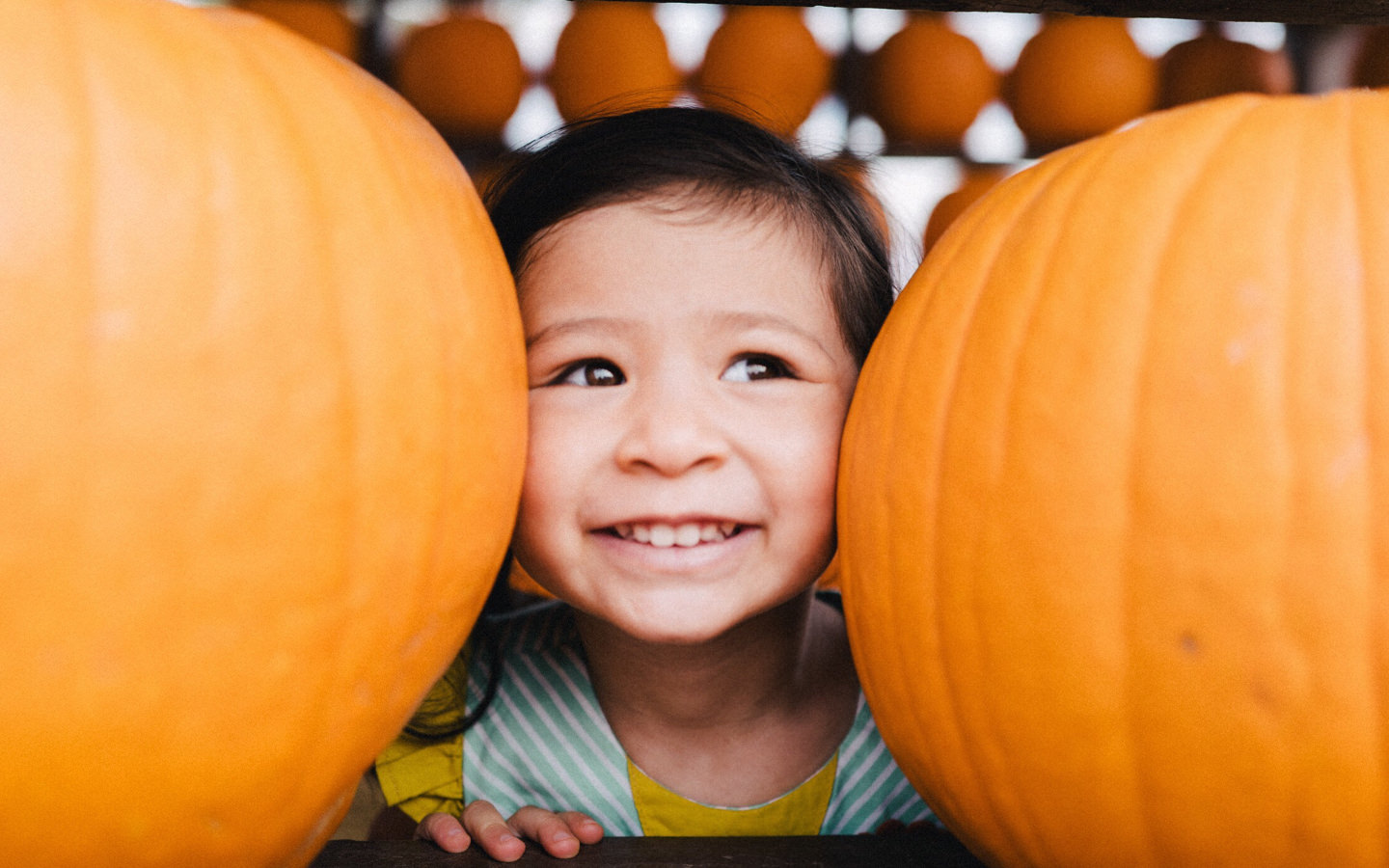 Do this with Your Halloween Pumpkins Avocado Green® Magazine Do this with Your Halloween Pumpkins Avocado Green® Magazine