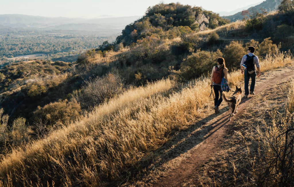 Why You Should Support Your Local Land Trust