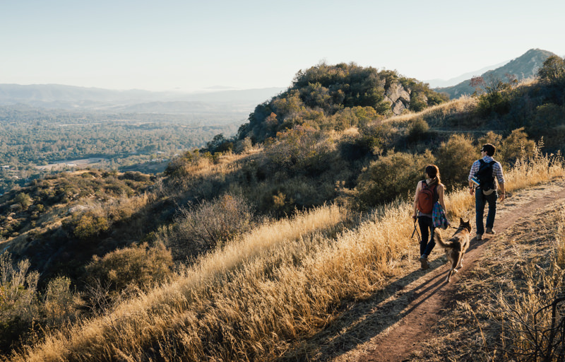 Why You Should Support Your Local Land Trust