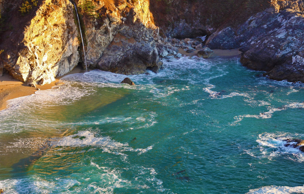 5 Ways You Can Help Protect our Oceans Right Now