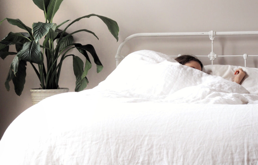 9 Bedroom Plants That Help You Sleep