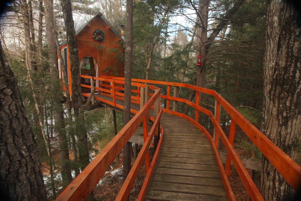 NH Airbnb Treetop House