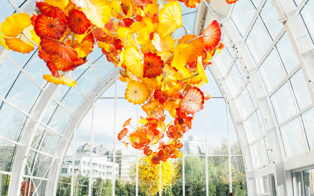How to Nurture Your Creativity