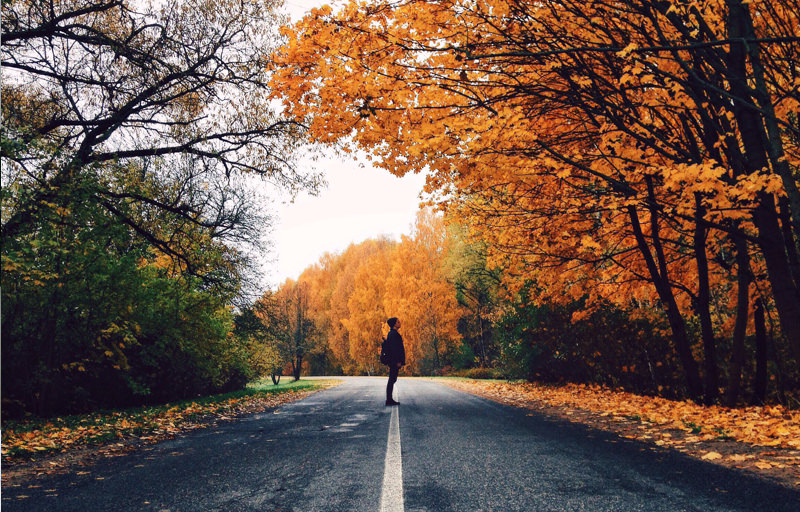 The Best Places to See Foliage This Fall