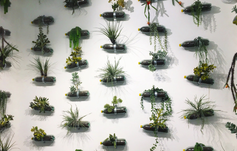 4 Creative Ways to Upcycle Plastic Bottles