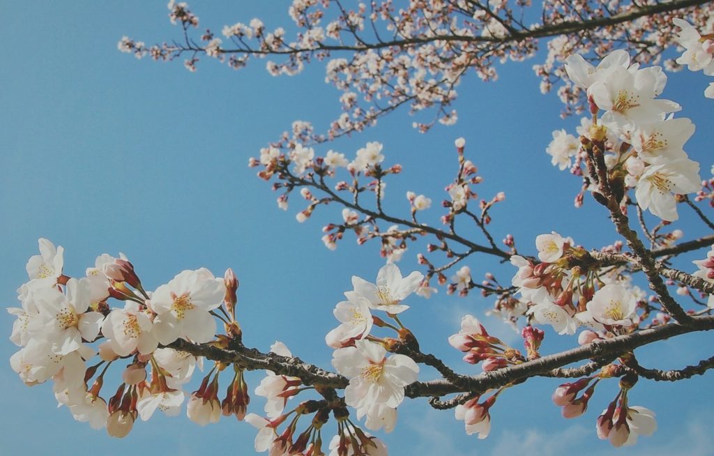 3 Spring Cleaning Rituals to Refresh Your Home