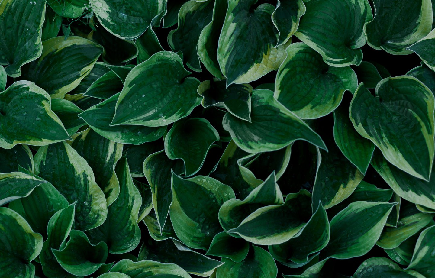 Ideas for Living More Sustainability Right Now