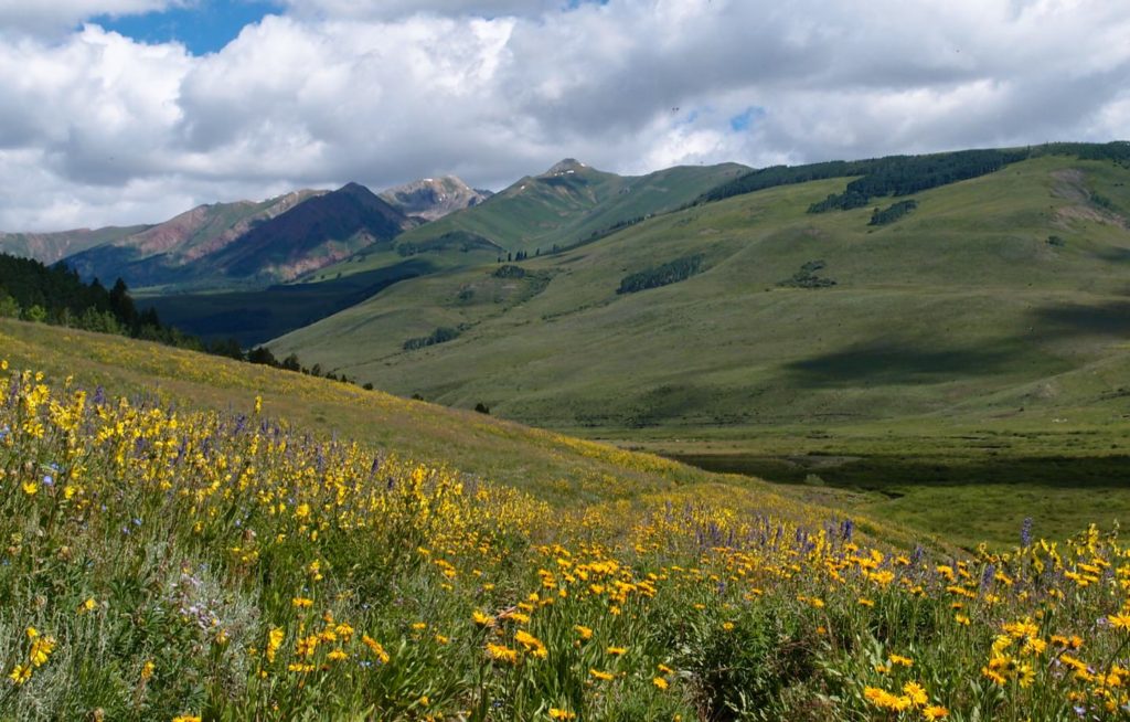 Protecting and Preserving the Gunnison Valley | Avocado Green® Magazine