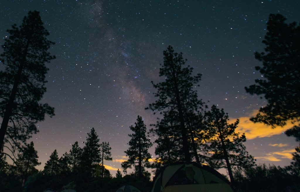 These Solar Phone Chargers Are Your New Camping Must-Have
