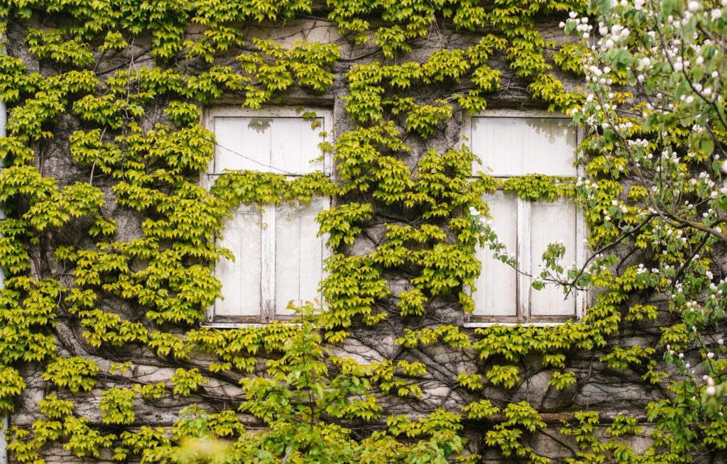 The Ultimate Guide to Your Eco-Friendly Remodel