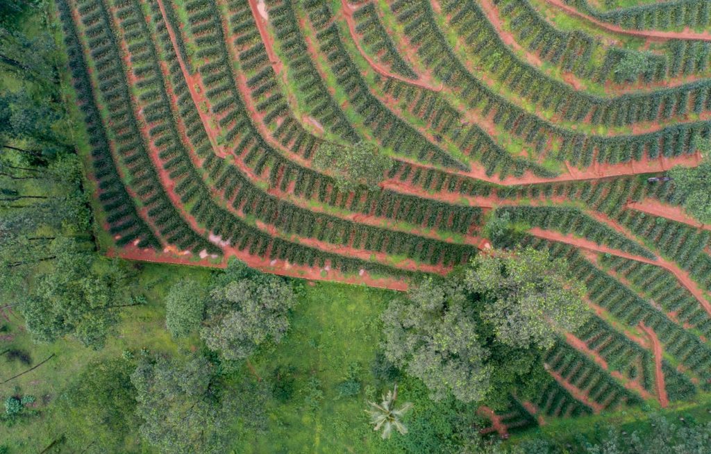 Five Ways We Changed the World Together in 2019