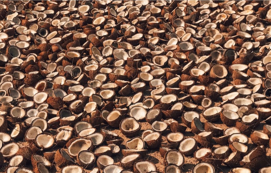 Reduce Waste and Green Your Kitchen: Meet Coconut Bowls