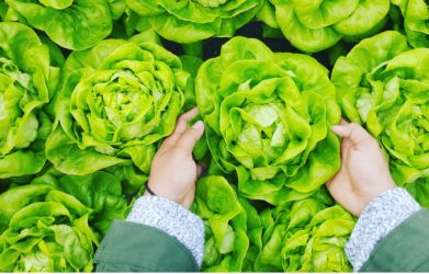 Vicki Robin's Take On Eating Local and How You Can Start Today