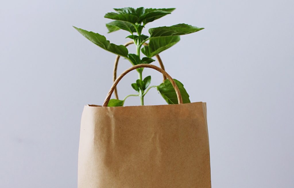 Your Guide to Recycling Properly