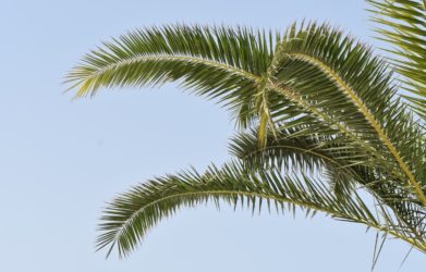 The Health Benefits of Sun Exposure - Are You Getting Enough?