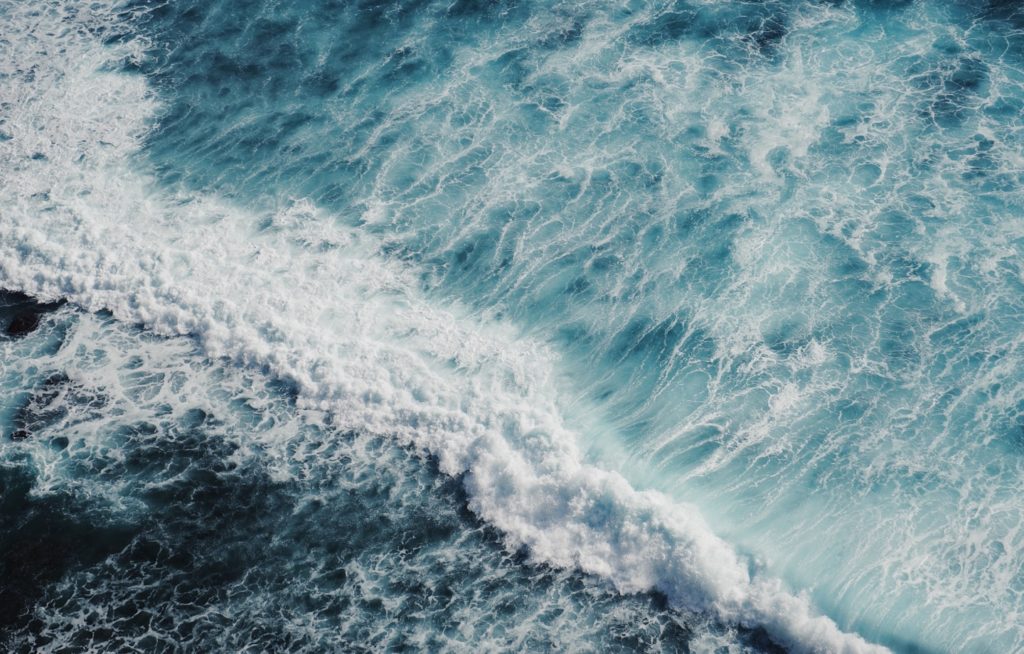 Cleaning Oceans and Ears: Meet LastSwab