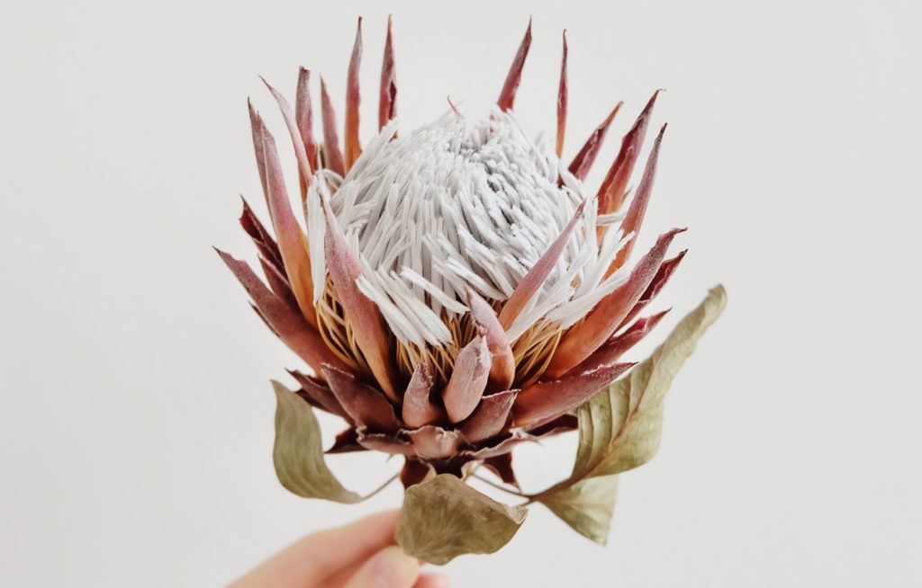 Meet the Makers Series: 5 Ceramics Artists You Need to Know