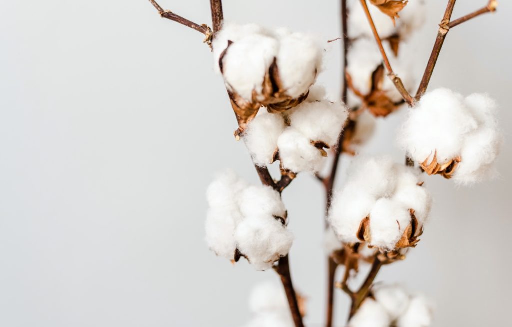The Athleisure Brand Raising the Bar For Sustainability