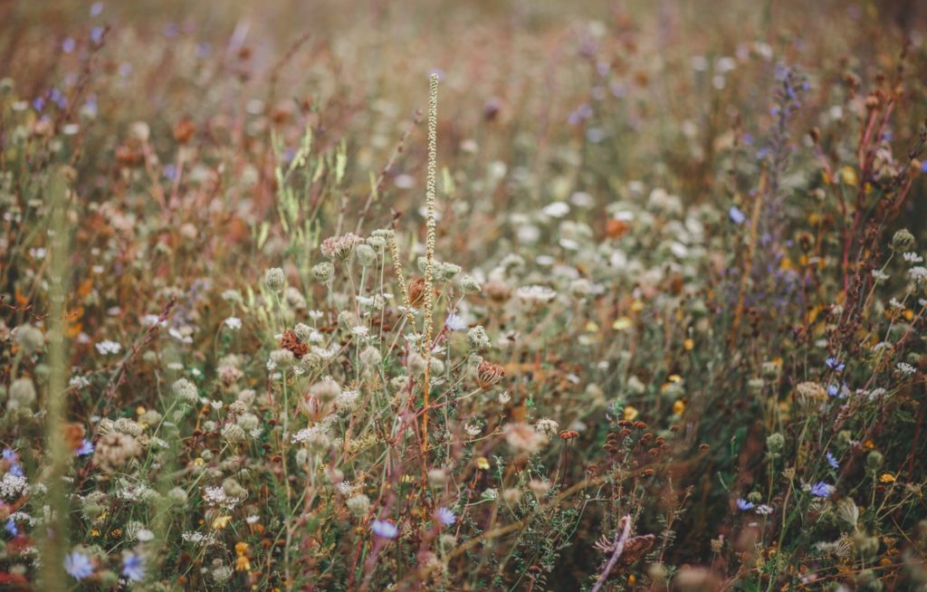 I Lost My Job Because of COVID-19 — Here’s What I Want You To Know