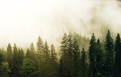 5 Outdoor Organizations We're Supporting Right Now