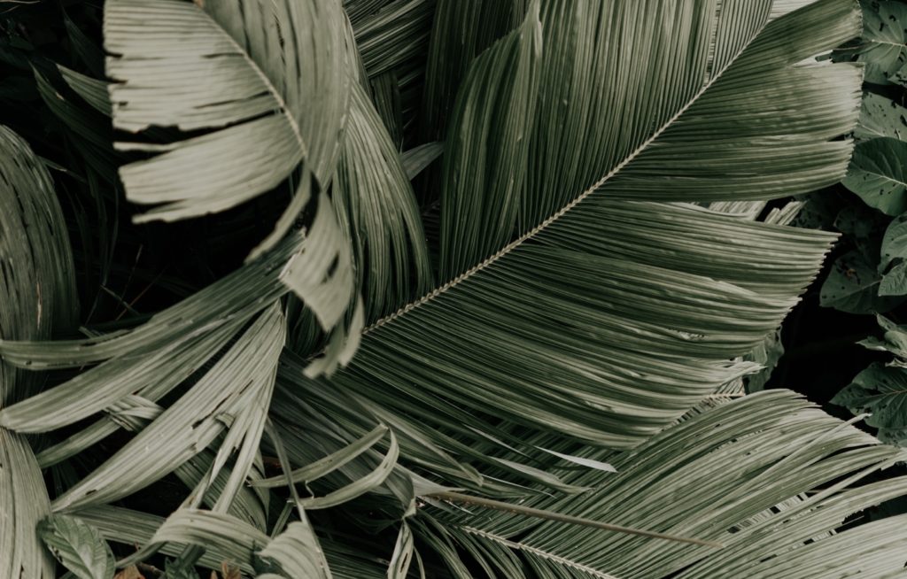 Eco-Friendly Fabrics to Add To Your Summer Wardrobe