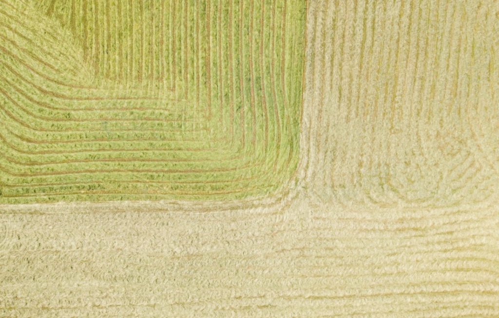 Why Local Farmers Need Your Support Now More Than Ever