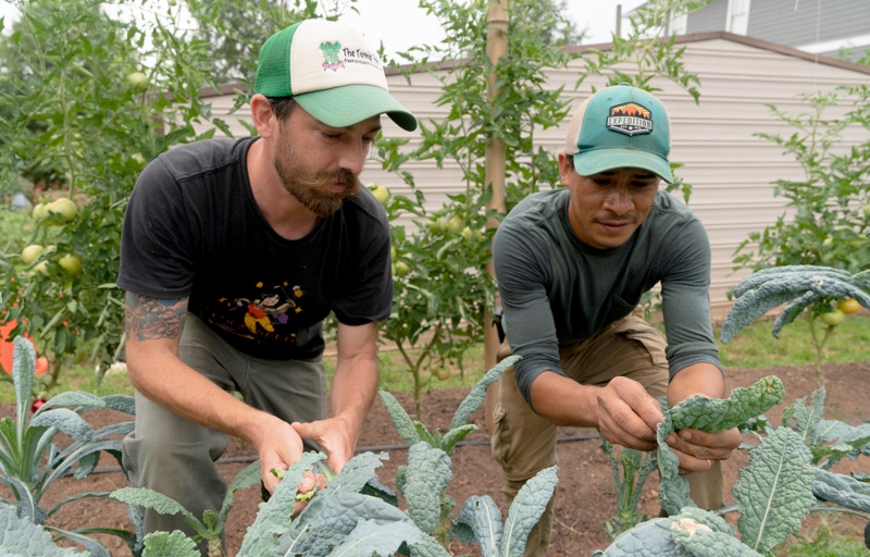 Why Local Farmers Need Your Support Now More Than Ever