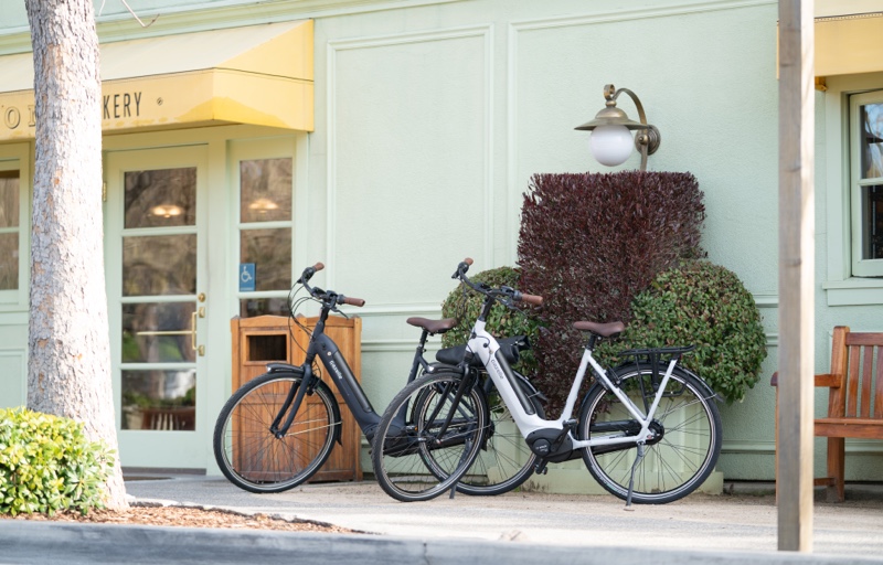 E-Bikes Are Here to Stay