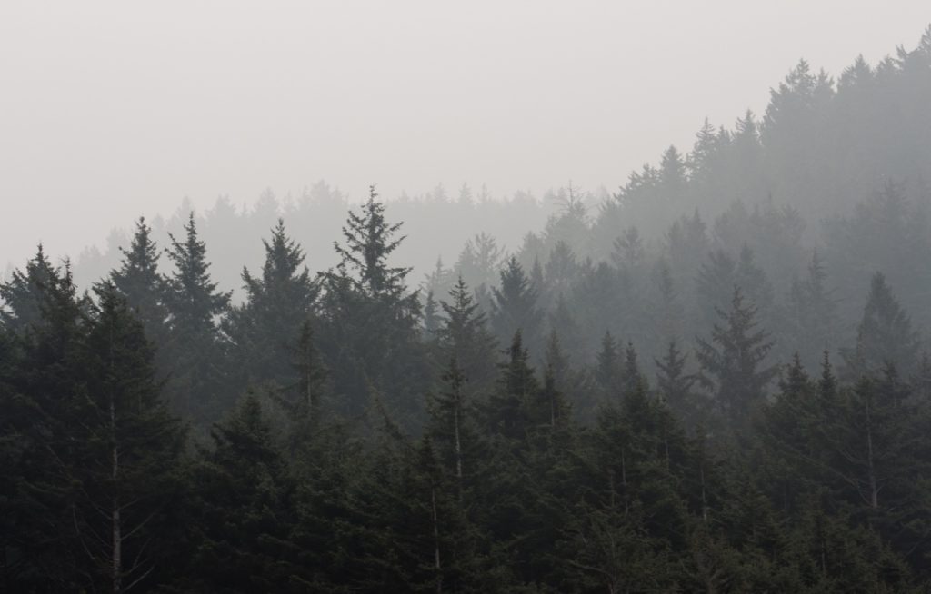 Why These Fires Feel Different