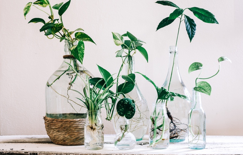 Get To Know the Five R’s Of Sustainability