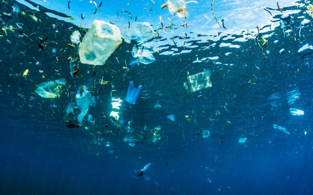 Plastic Floating In Ocean Avocado Green® Magazine
