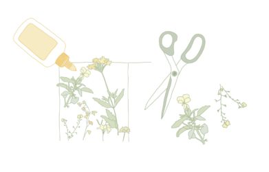 How to Collect, Press, and Preserve Flowers
