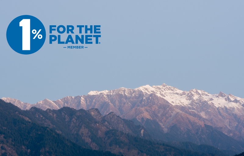 7 Nonprofit Organizations Doing The Work