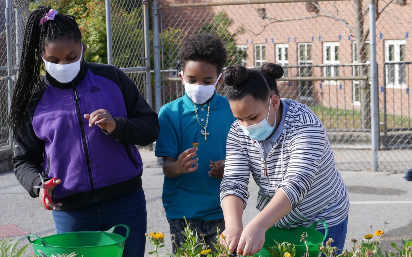 Group of Young Children Planting Flowers