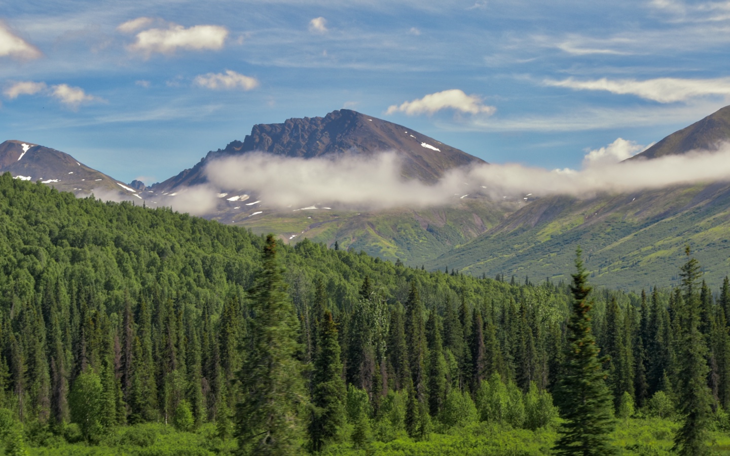 Old-Growth Forests Are Declining — Here’s Why That’s So Devastating