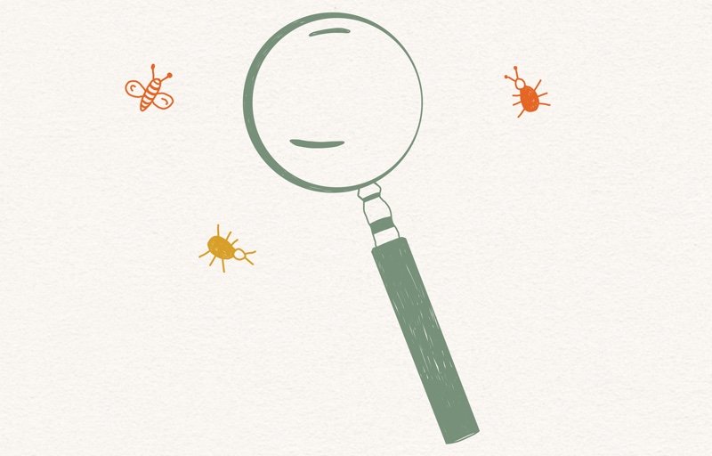 Magnifying Glass