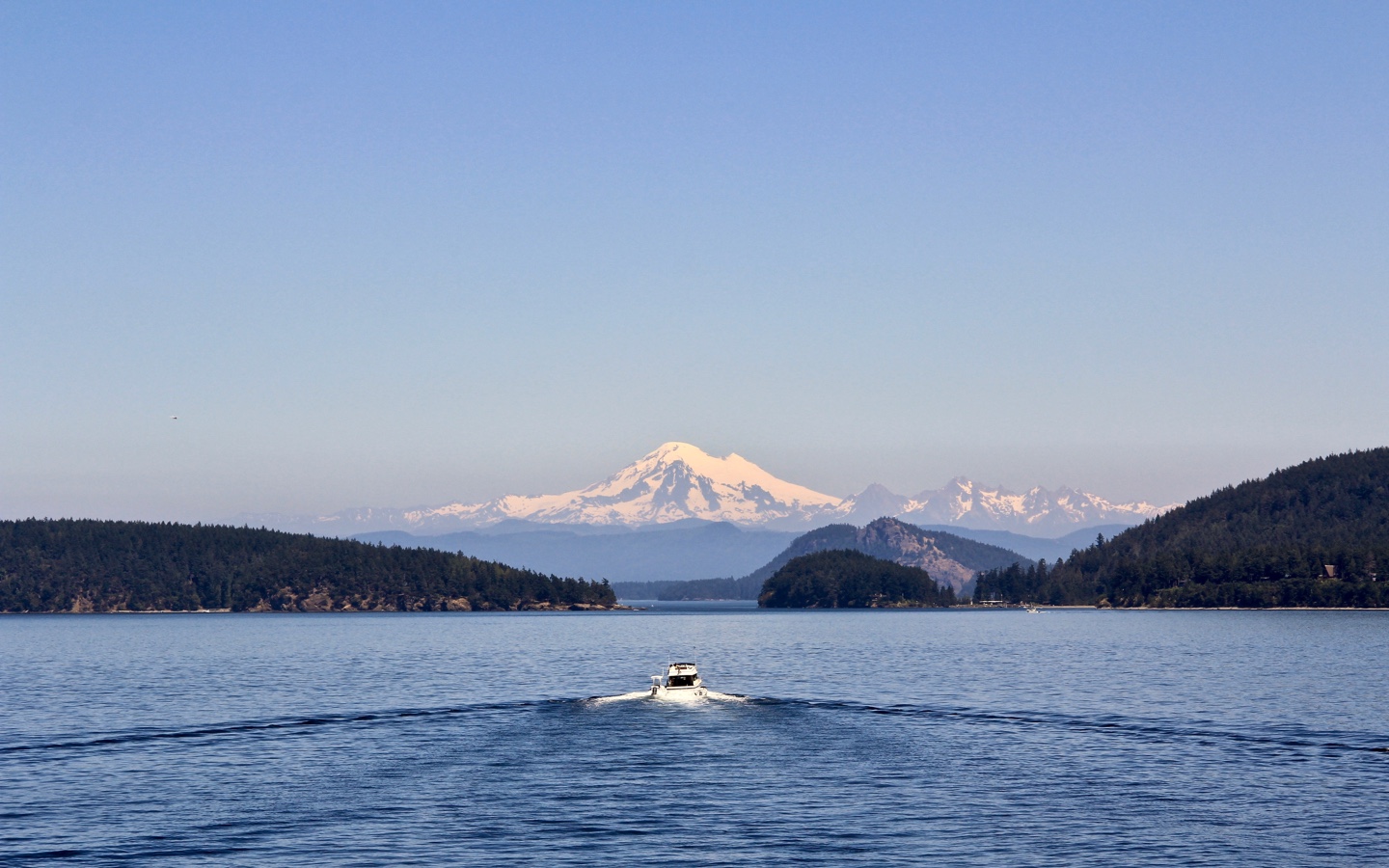 Puget Sound Cold Water Swimming