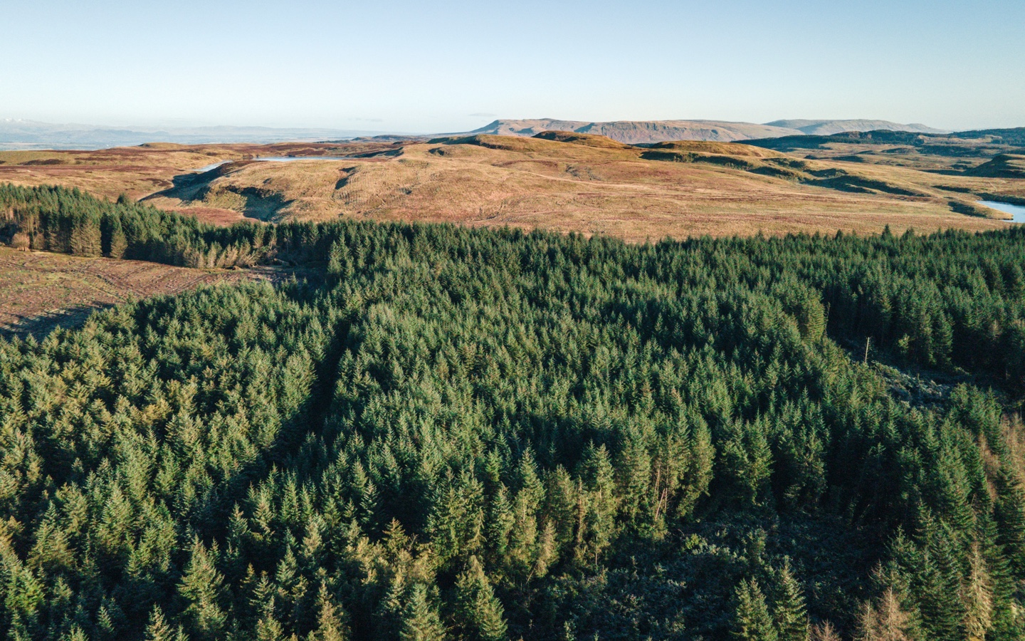 Aerial View of Deforestation