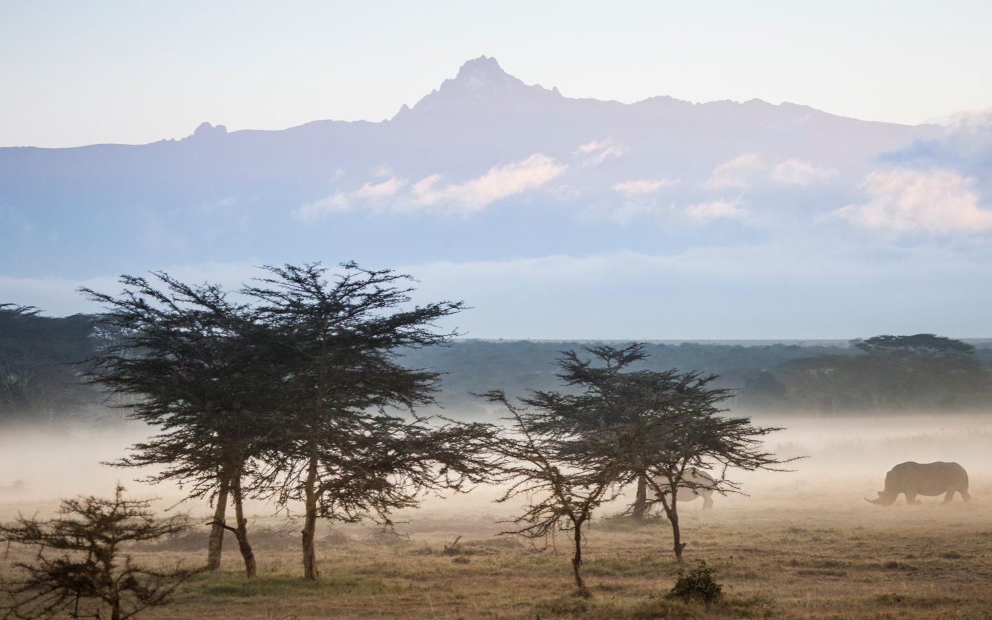 Kenyan Landscape