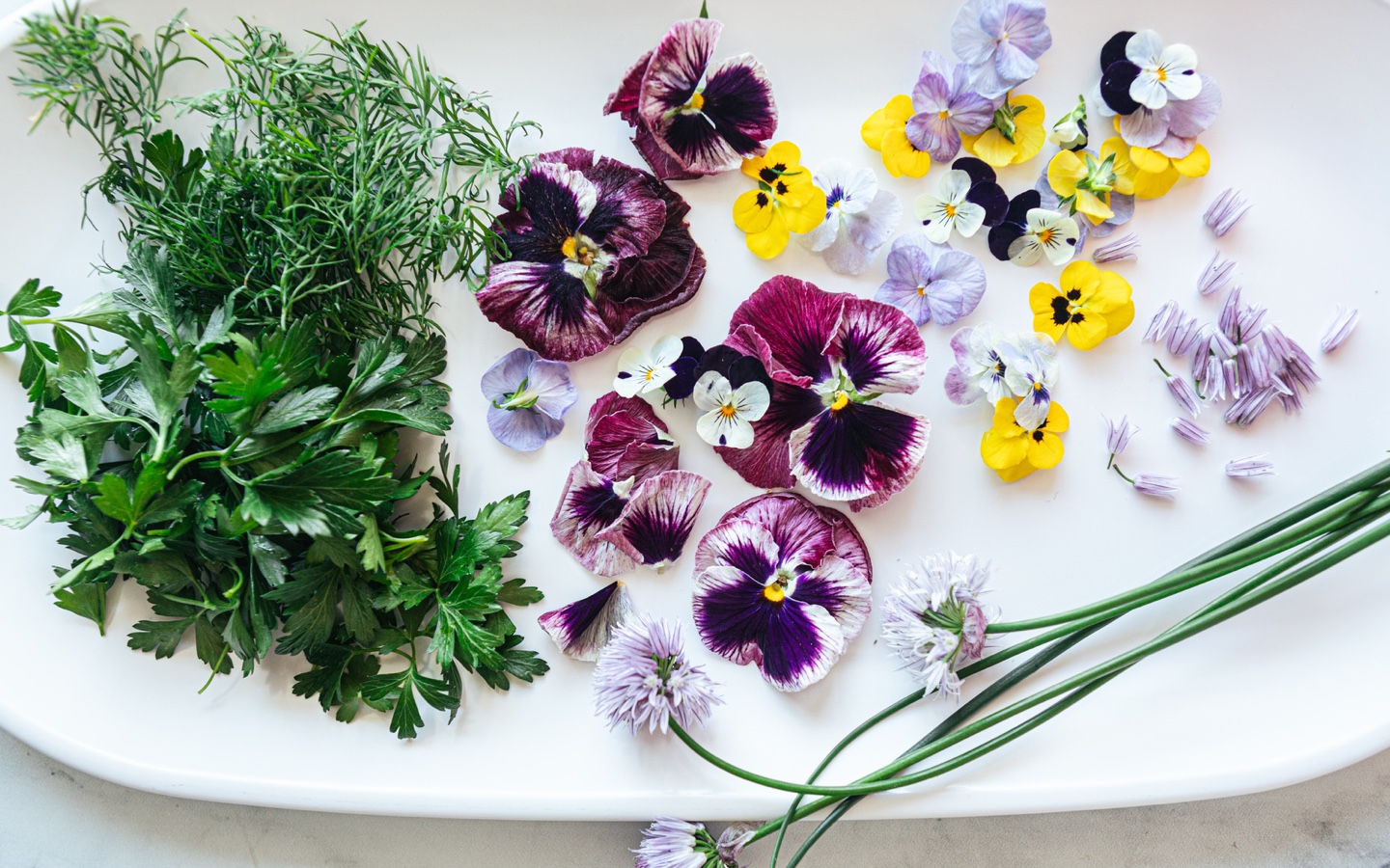 Herbs and Edible Flowers Flat Lay