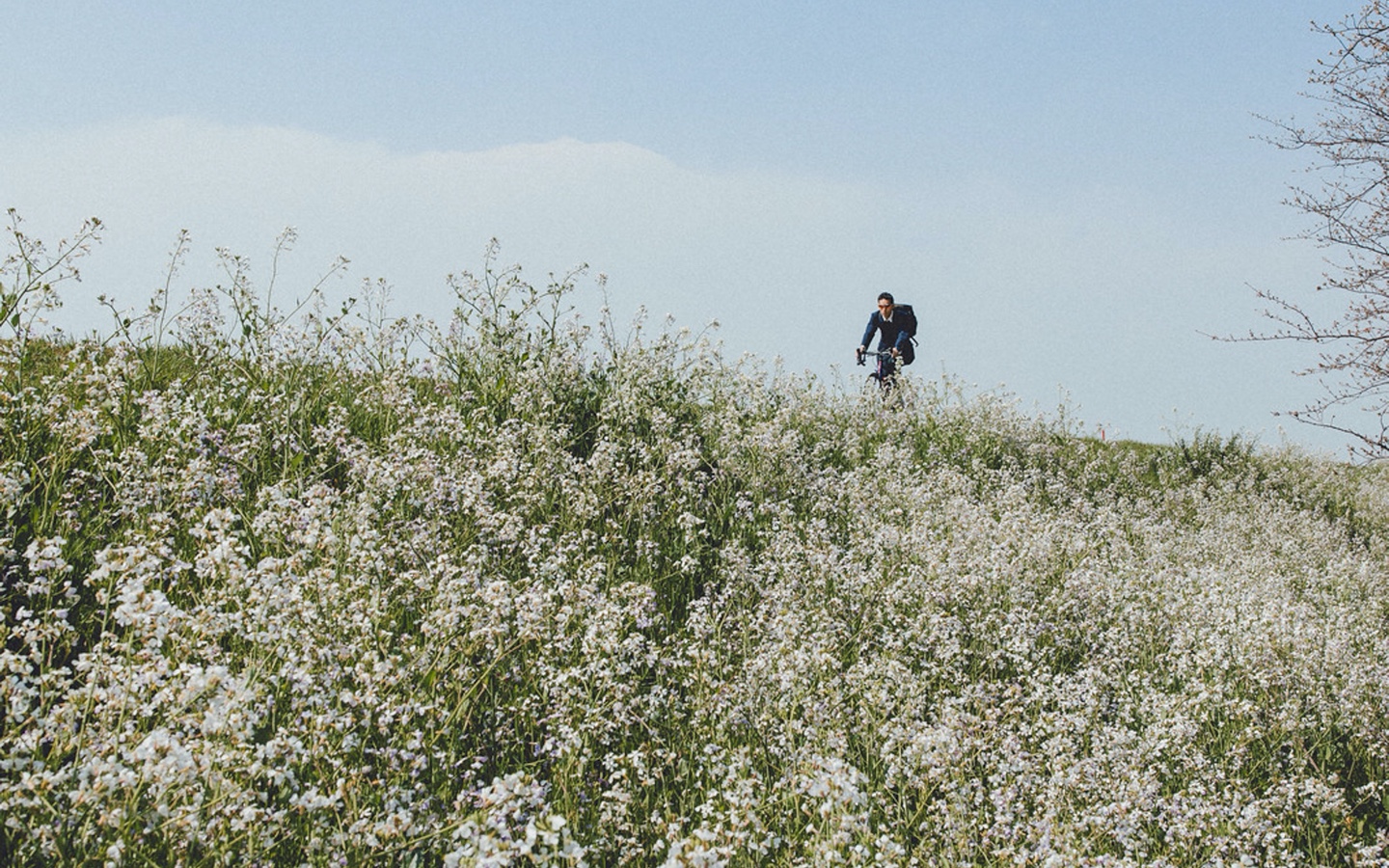 Man Biking Through a Field