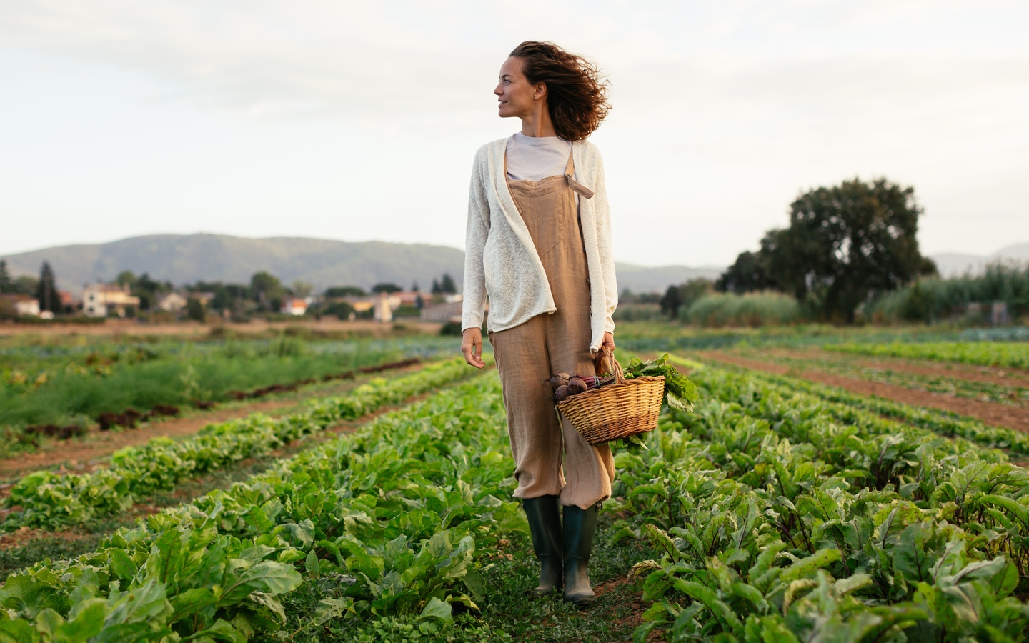 Why Regenerative Agriculture Produces Healthier Soil and Farms ...