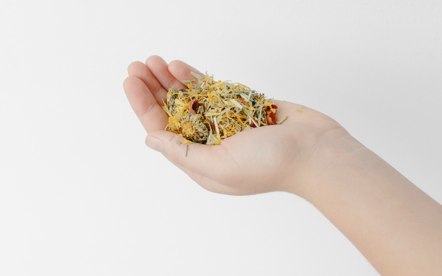 Hand Holding Dried Herbal Blend
