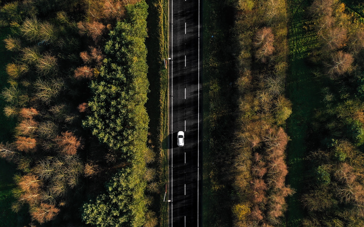 Aerial Shot of Car Driving on Open Road