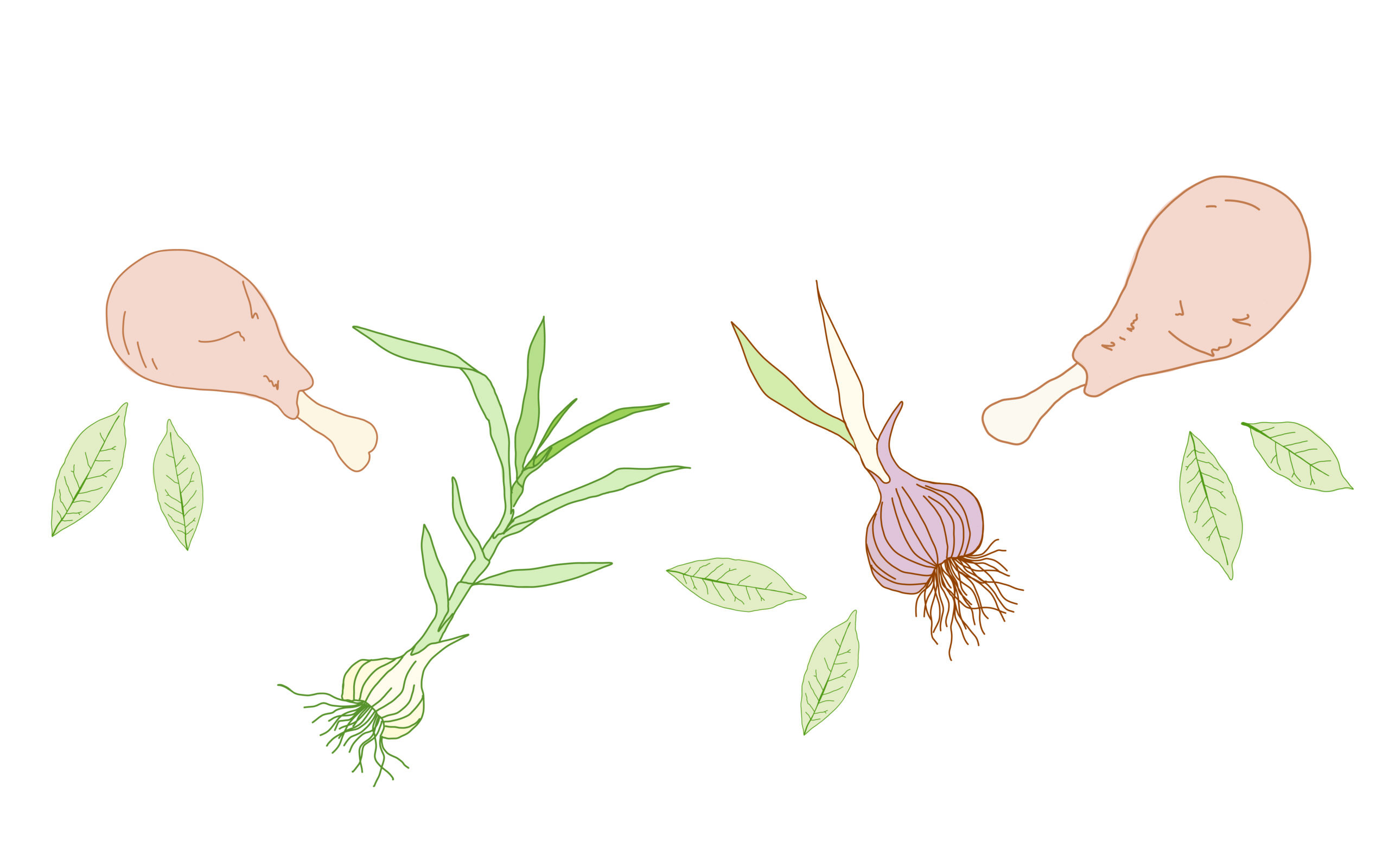 DIY Chicken Stock Illustration