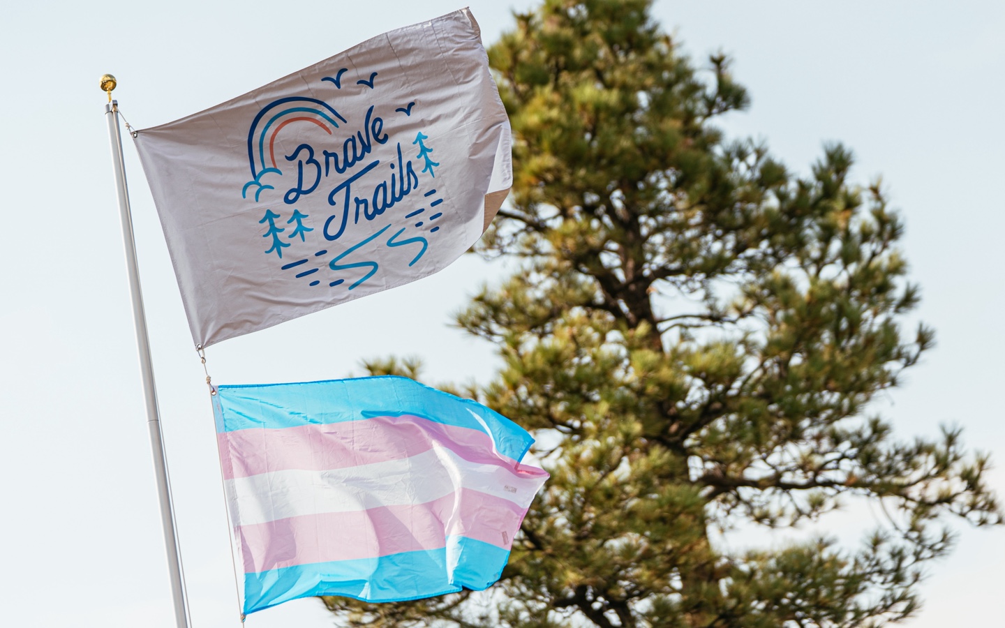 Brave Trails and Transgender Flags