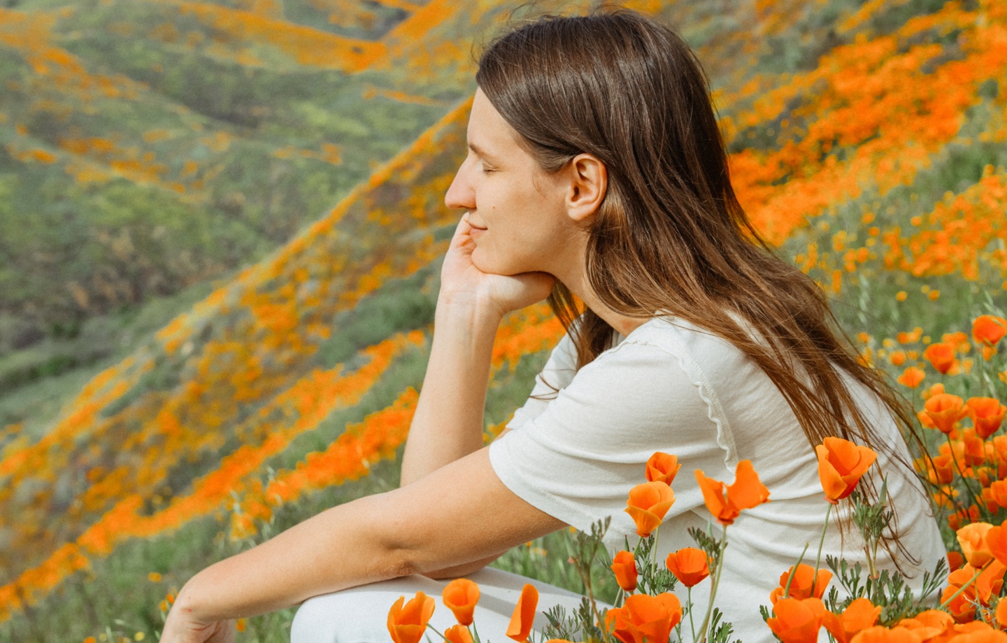 Woman Sitting In Field of Orange Wildflowers