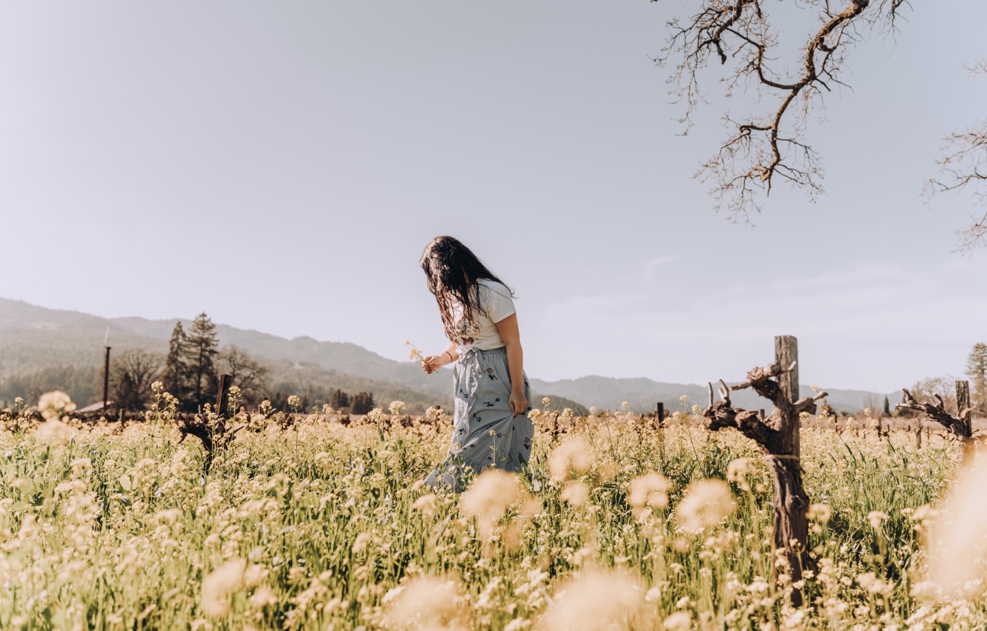 Woman Standing in A Field of Flowers
