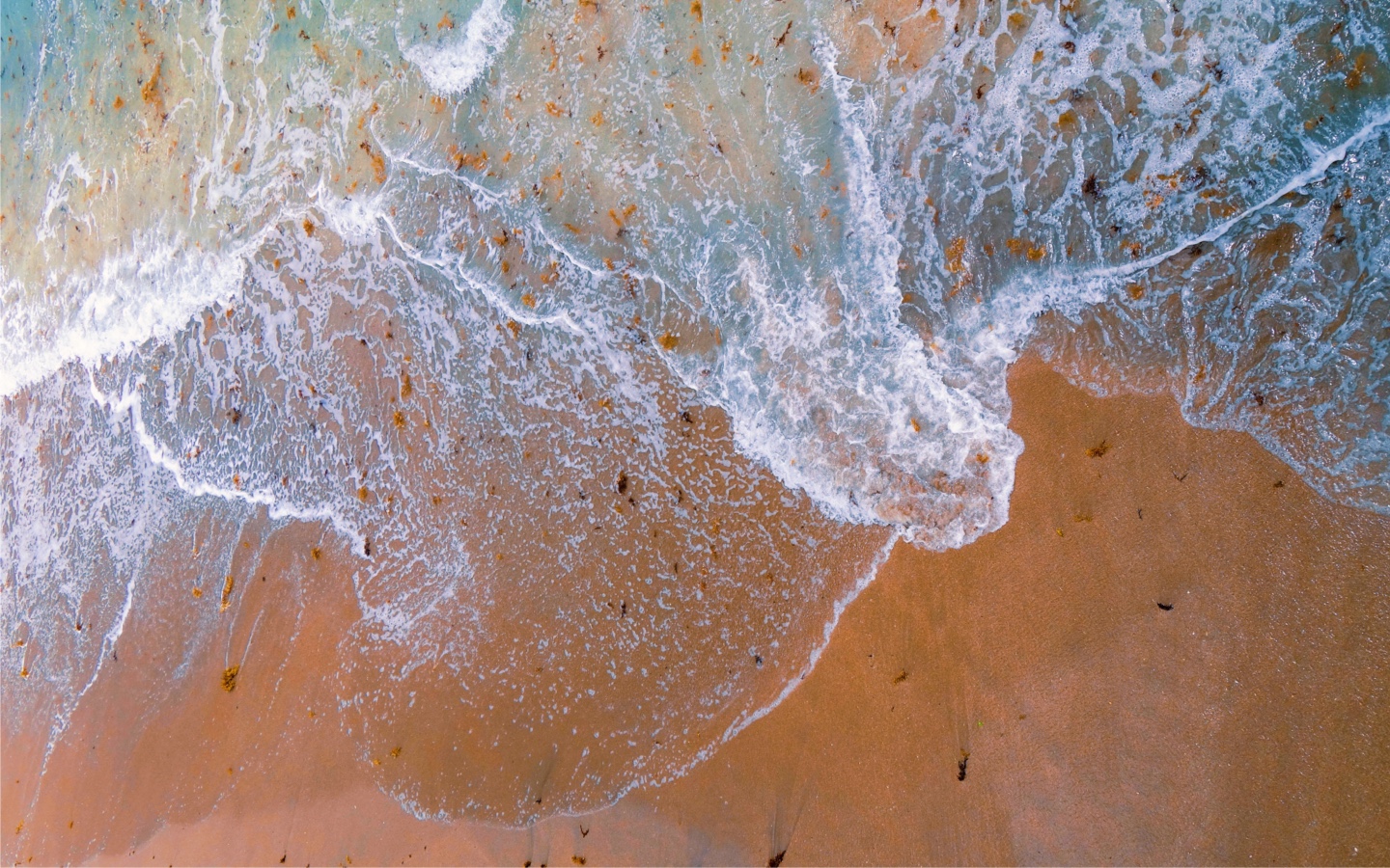 Wave Crashing On Shore